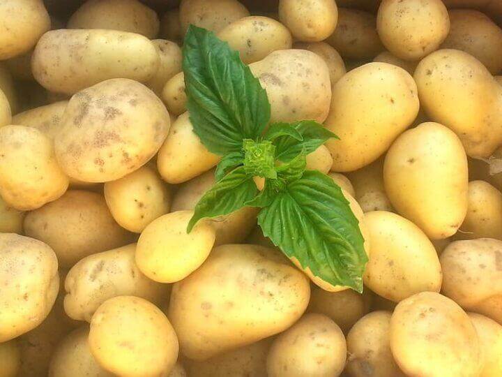 Potato Khane Ke Fayde