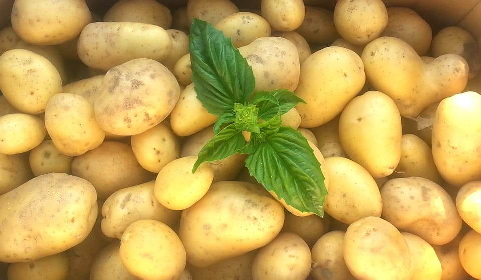 Potato Khane Ke Fayde